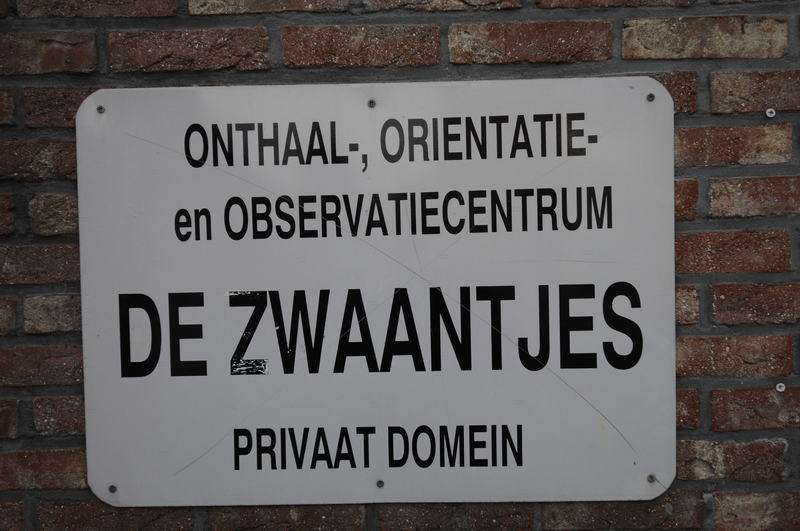 De Zwaantjes